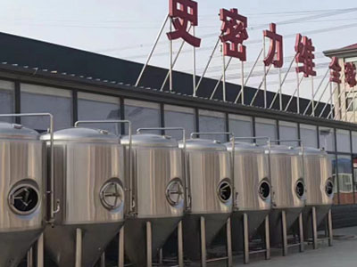 定兴精酿啤酒设备厂—如何判断精酿啤酒设备的密封件需要更换？